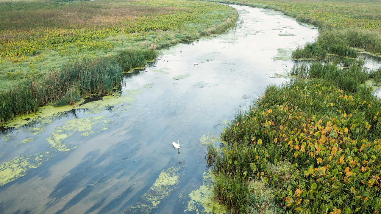 HowSoilTestingGeotechnicalInvestigationPreventsCatastrophicFoundationFailuresinMarshland.png